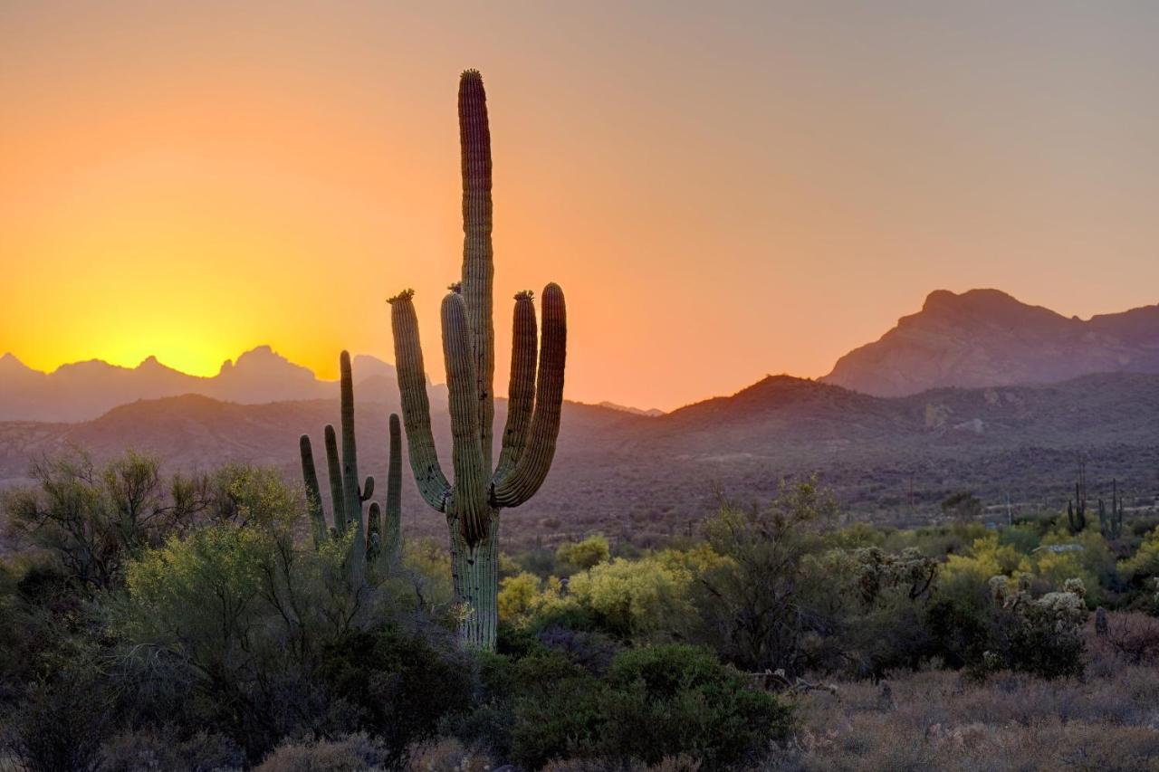 Aloft Scottsdale Hotel Екстериор снимка